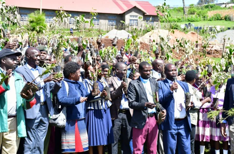 Mass Tree planting Campaign
