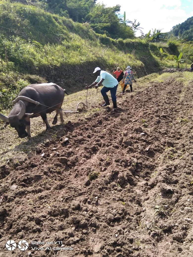 Tilling community land