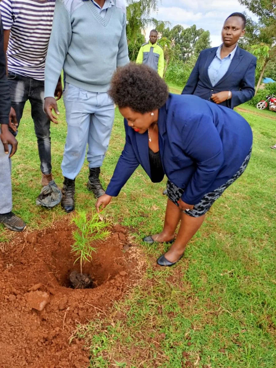 Tree planting