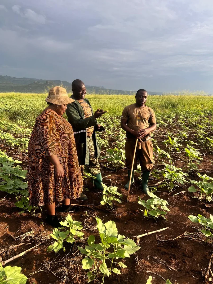 Community Farming